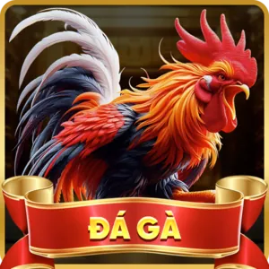 Giảm thiểu rủi ro